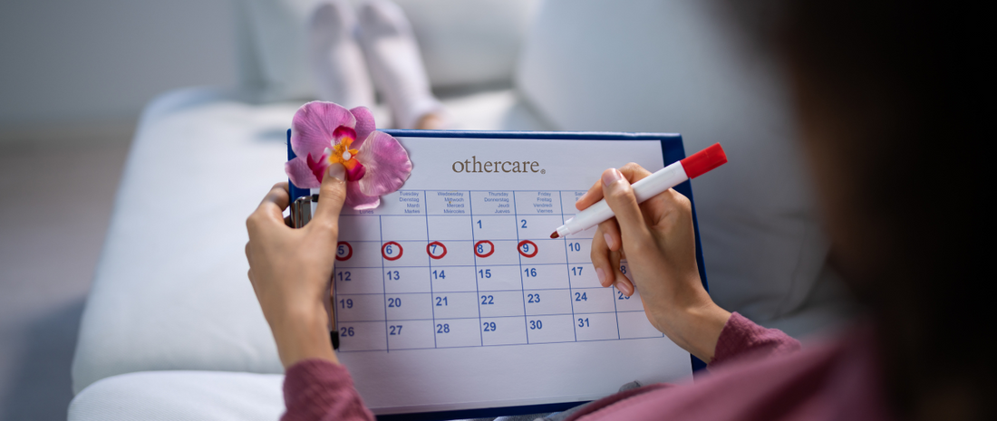 Understanding Your Menstrual Cycle Beyond the Period